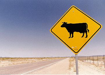 EA竞速游戏《OnRush》将于11月关闭线上功能